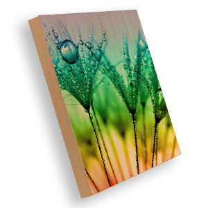 4533 ChromaLuxe® Maple Matte Clear natural wood Sublimation Photo Panel 20"x30", 4 each