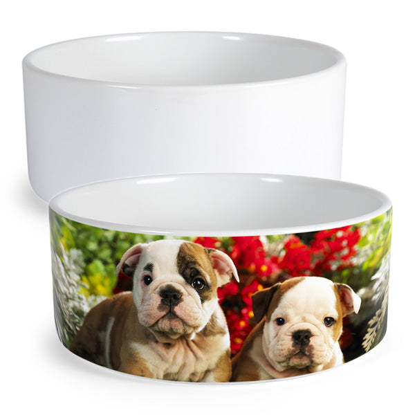 Dog Bowl Sublimatable, 6 each