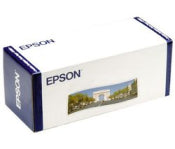 Epson  Premium Luster Photo Paper 10"x100'.