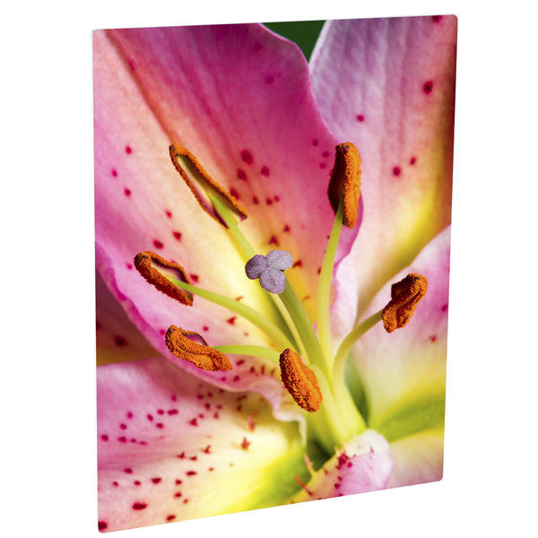 4552, 8" x 12" x .045” ChromaLuxe&#x2122; Semi-Gloss White Aluminum Sublimation Photo Panel. 4 each One-sided